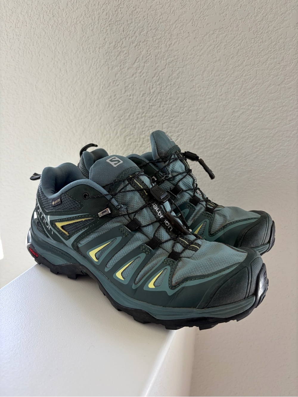 *used* Salomon Hiking Shoes
